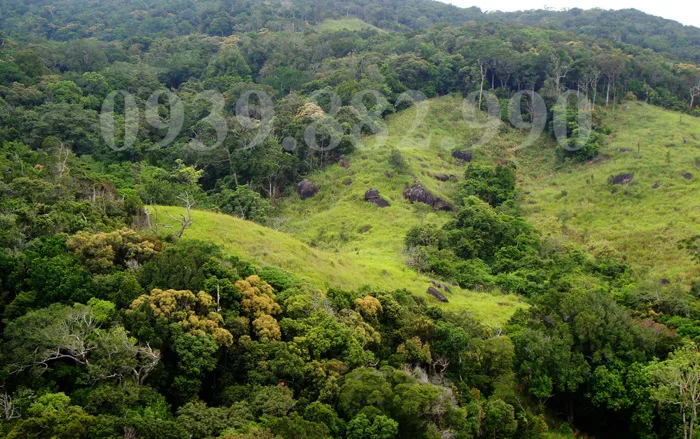 Khám phá Vườn Quốc gia Núi Chúa ở Vĩnh Hy - Điểm đến thiên nhiên hoang sơ  tuyệt đẹp của Việt Nam -