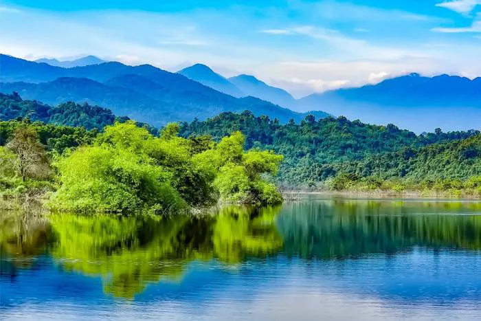 Vẻ đẹp hoang sơ của Vườn Quốc gia Vũ Quang - viên ngọc xanh ở Hà Tĩnh | Báo  Dân trí