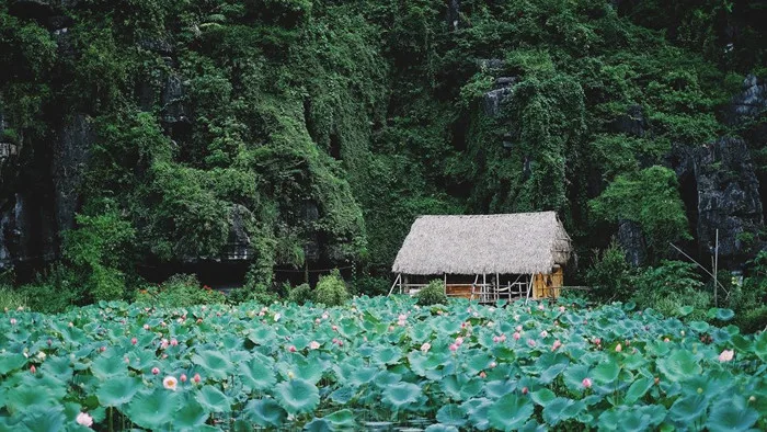 10 điểm đến mang vẻ đẹp hoang sơ cho những tín đồ yêu thiên nhiên -  iVIVU.com