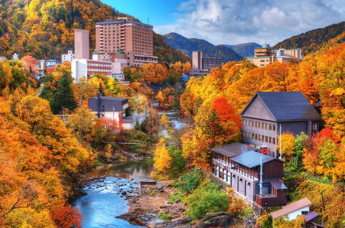 Khám phá 5 địa điểm ngắm lá thu đẹp nhất Hokkaido, từ đại lộ Ginkgo đến hồ  Tōya. Tận hưởng sắc thu rực rỡ với Tiên Phong Travel!