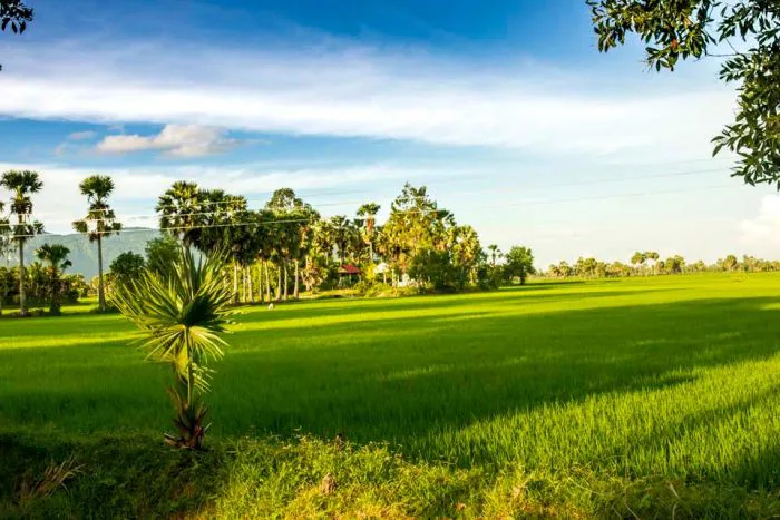 hinh-nen-thien-nhien-lang-que-viet-nam-1