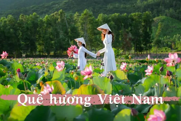Tổng hợp 150+ hình ảnh quê hương Việt Nam đẹp, độc đáo nhất