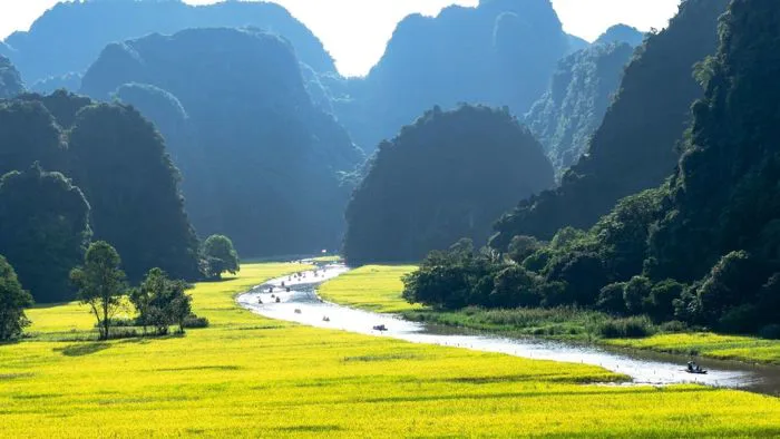 120+ Hình ảnh quê hương Việt Nam đẹp nhất gợi tuổi thơ
