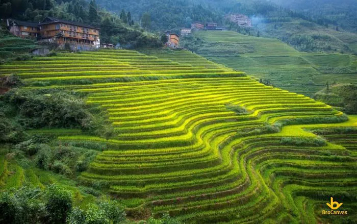 Ý Nghĩa Tranh Hình Ảnh Quê Hương Việt Nam