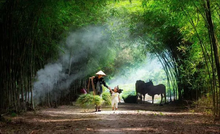Hình ảnh làng quê Việt Nam - Tuyển tập những khoảnh khắc đẹp nhất về làng  quê Việt Nam, mang đậm nét truyền thống và bình yên.