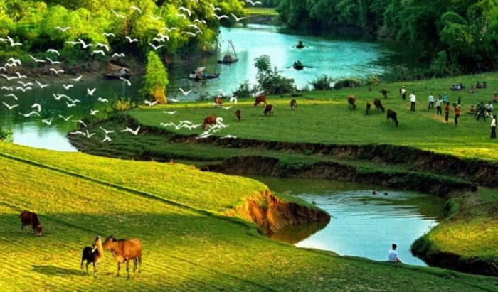 Top 200+ ảnh thiên nhiên lung linh, tuyệt đẹp cho máy tính và điện thoại