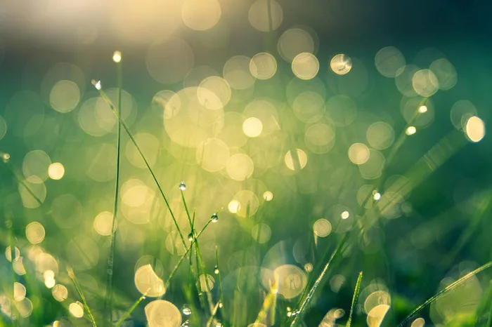 100000+ Hình Nền Thiên Nhiên & ảnh Thiên Nhiên miễn phí - Pixabay