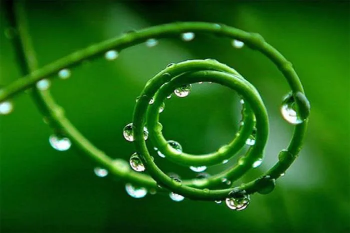 Hình ảnh đẹp thiên nhiên 3d tuyệt đẹp