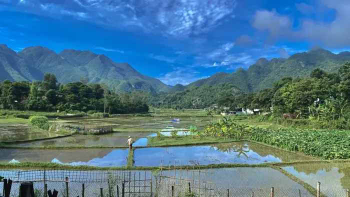 Đi du lịch Mai Châu mùa nào đẹp? Khám phá cảnh đẹp từng mùa! - Meadow Mai  Chau Homestay
