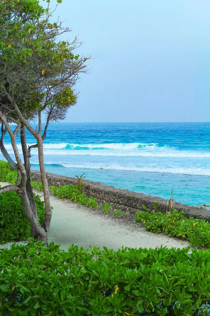 5.000+ ảnh đẹp nhất về Maldives · Tải xuống miễn phí 100% · Ảnh có sẵn của  Pexels