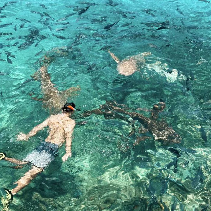 Say đắm làn nước trong vắt ở thiên đường biển Maldives