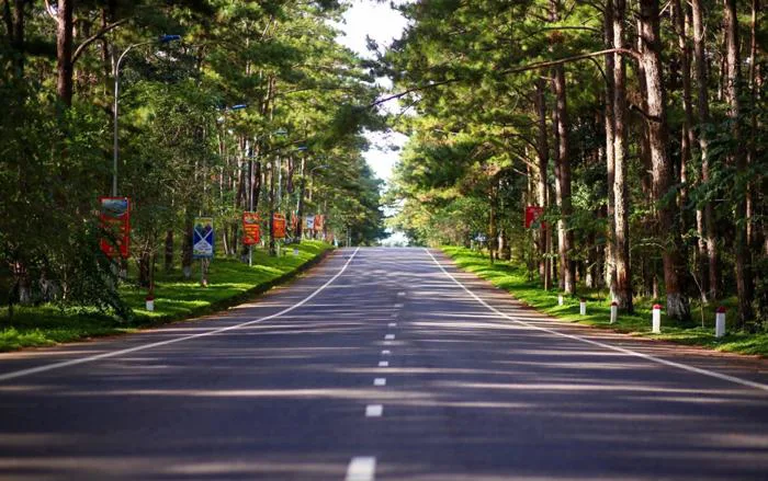Cẩm nang Du lịch Măng Đen 2026 từ A-Z: Di chuyển, ăn chơi, thăm quan, đặc  sản... mới nhất