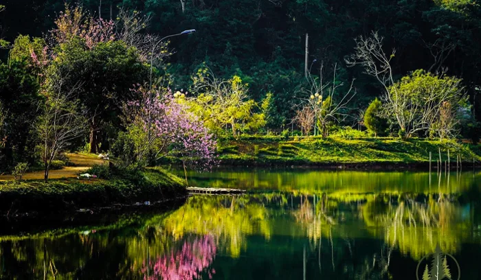 Kontum Top 07 Địa Điểm Du Lịch Măng Đen Đẹp Huyền Ảo, Du lịch Măng đen,  Tour Cần Thơ Buôn Mê Thuột Kontum, du lịch cần thơ,annamtravel
