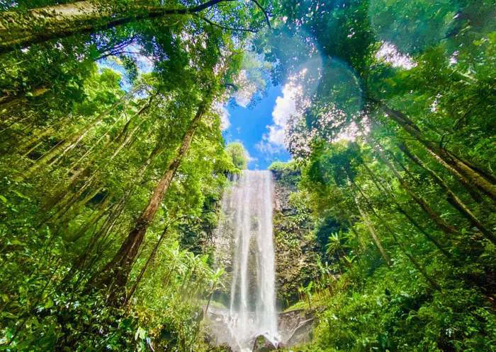 Trekking Măng Đen – Chinh Phục Những Cung Đường Tuyệt Đẹp Giữa Đại Ngàn