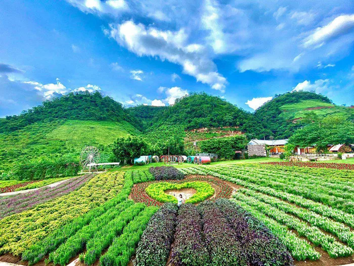 Ba Vì Mộc Châu: Nơi hòa quyện thiên nhiên tuyệt đẹp của hai vùng