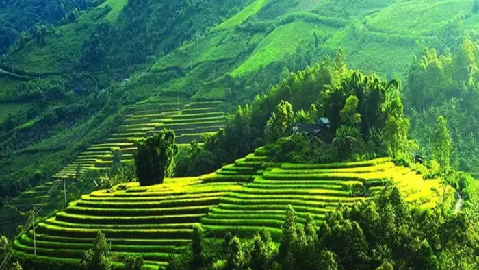 Du lịch Mộc Châu – Động lực tăng trưởng mới của Sơn La