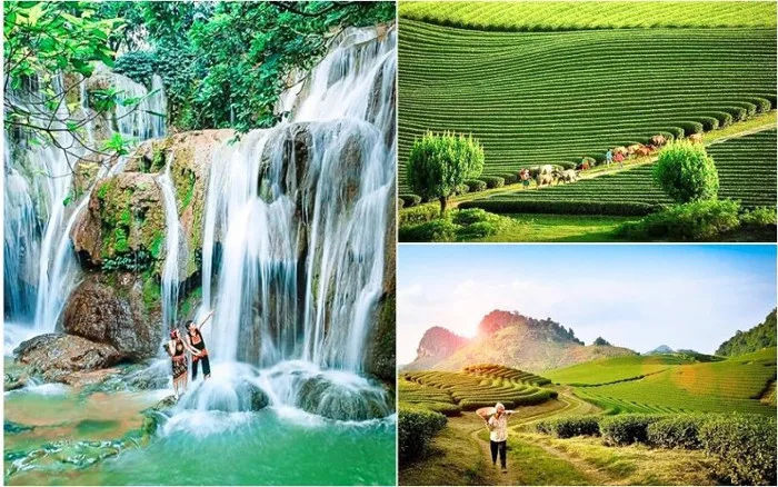 Du lịch Mộc Châu mùa hè 2025 & kinh nghiệm săn ảnh đẹp
