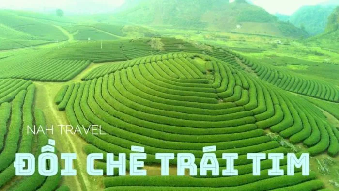 Du lịch Mộc Châu: Những cảnh đẹp theo mùa được yêu thích nhất - MOTOGO