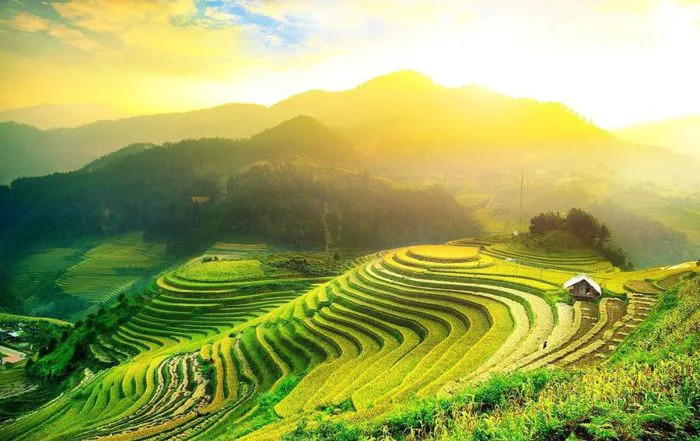 Du lịch Mộc Châu mùa nào đẹp nhất? Khám phá vẻ đẹp bốn mùa | Green SM