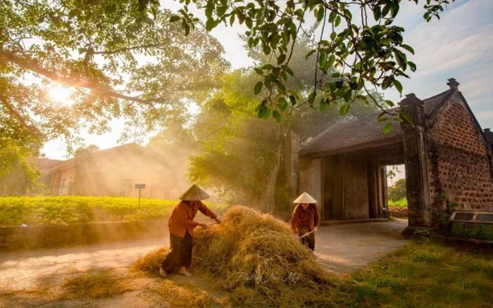 Tải hình ảnh Thiên nhiên, Phong cảnh đẹp nhất làm hình nền miễn phí