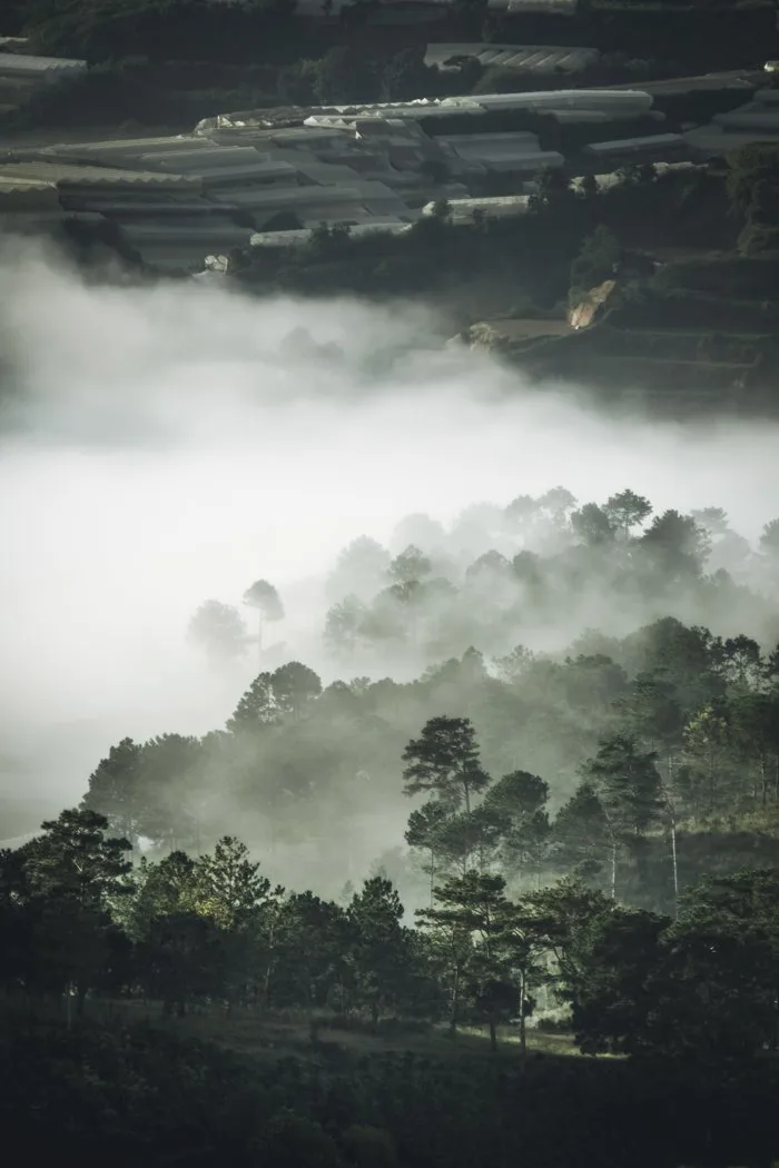 hình ảnh : Bầu trời, đám mây, Hiện tượng khí quyển, thiên nhiên, sương mù,  không khí, Phong cảnh thiên nhiên, buổi sáng, Nước, cây, Sương mù, phong  cảnh, Hiện tượng khí