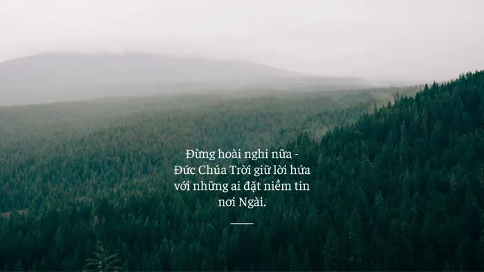 Mẫu hình nền máy tính thiên nhiên đẹp, tải miễn phí | Canva