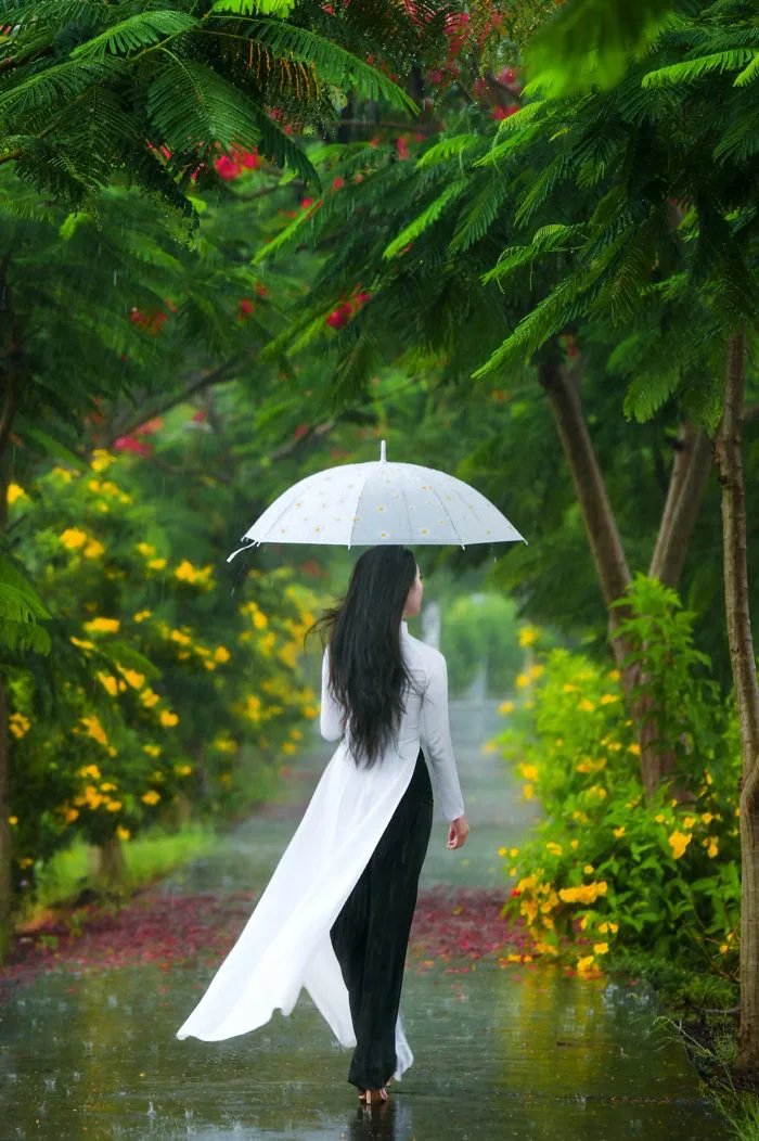4.000+ ảnh đẹp nhất về Mưa · Tải xuống miễn phí 100% · Ảnh có sẵn của Pexels