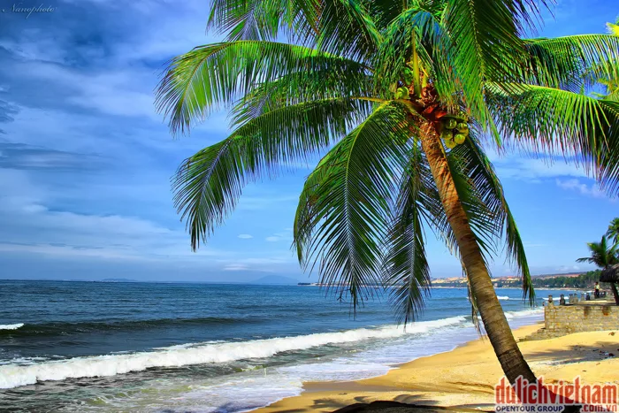 Tour Du Lịch Đà Nẵng - Mũi Né - Nha Trang 6 Ngày 5 Đêm Giá Rẻ