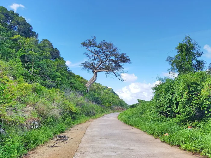 Có một 'thiên đường' đẹp như thế ở quần đảo Nam Du!