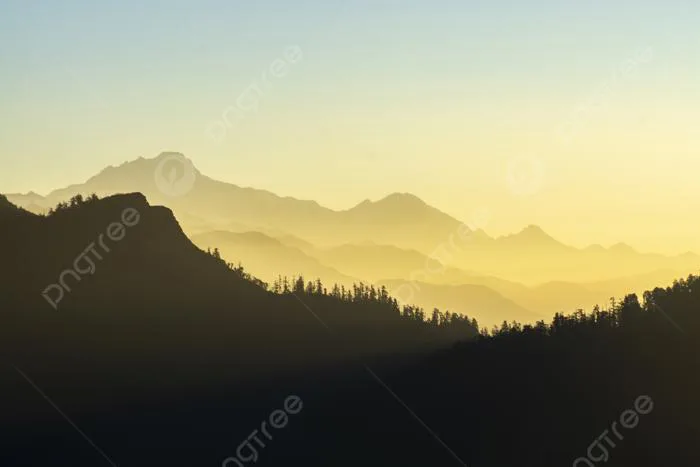 24,565+ Ánh Nắng Ban Mai Pictures Ảnh, Ảnh Và Hình Nền Để Tải Về Miễn Phí -  Pngtree
