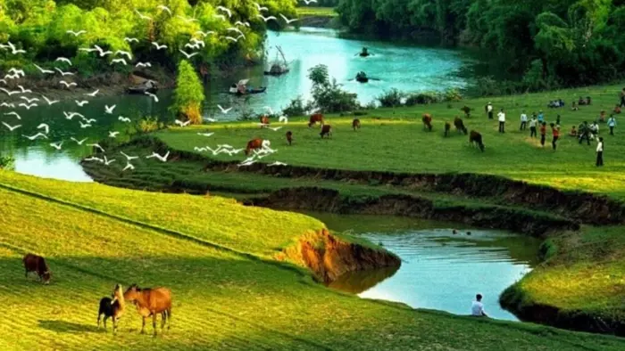 Top 200+ ảnh thiên nhiên lung linh, tuyệt đẹp cho máy tính và điện thoại