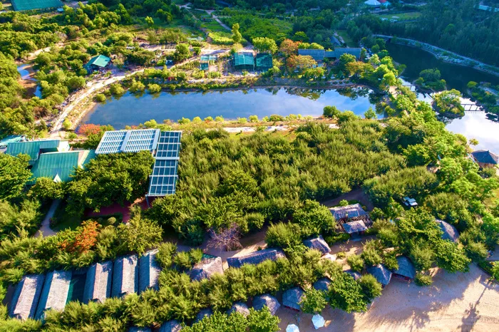 Cẩm nang du lịch Nha Trang: Khám phá thiên đường biển - Tuổi Trẻ Online