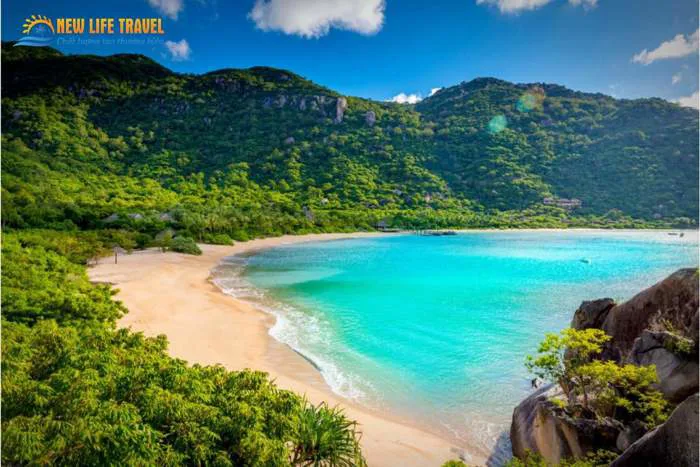 Top 20 Cảnh Đẹp Nha Trang Nổi Tiếng: Địa Điểm & Hình Ảnh