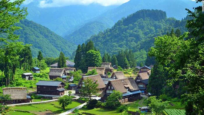 14 cảnh đẹp nhất định phải trải nghiệm khi du lịch Nhật