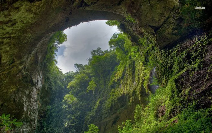 Vườn Quốc gia Phong Nha- Kẻ Bàng
