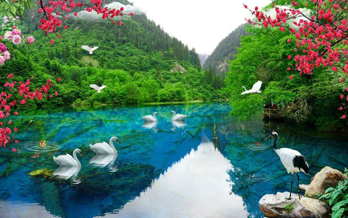 Bộ sưu tập hình nền phong thủy mệnh Mộc tuyệt vời