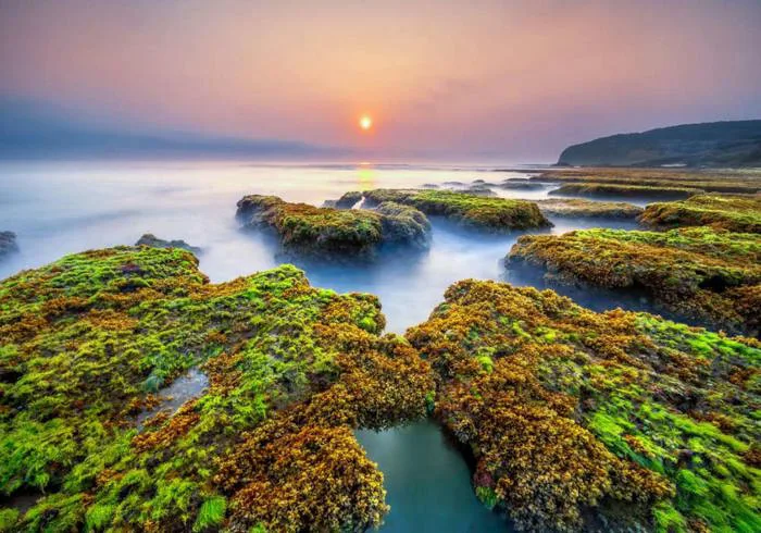 Top bãi biển Phú Yên đẹp – Thiên đường biển xanh chờ khám phá | Green SM