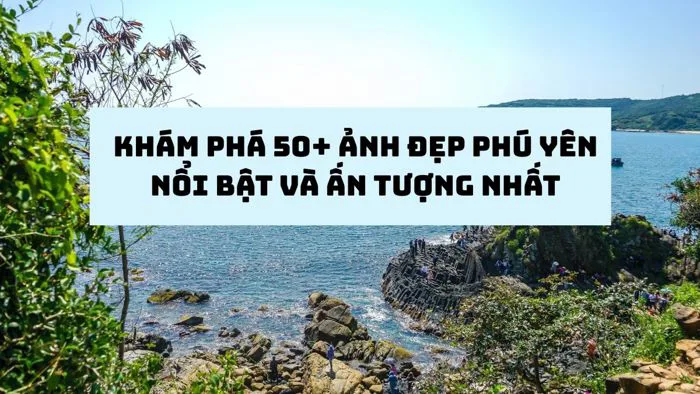 Khám phá 50+ ảnh đẹp Phú Yên nổi bật và ấn tượng nhất