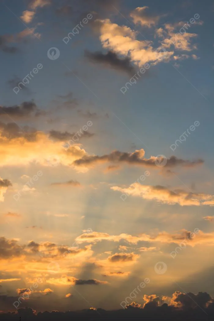 2,927+ Rạng Đông Pictures Ảnh, Ảnh Và Hình Nền Để Tải Về Miễn Phí - Pngtree