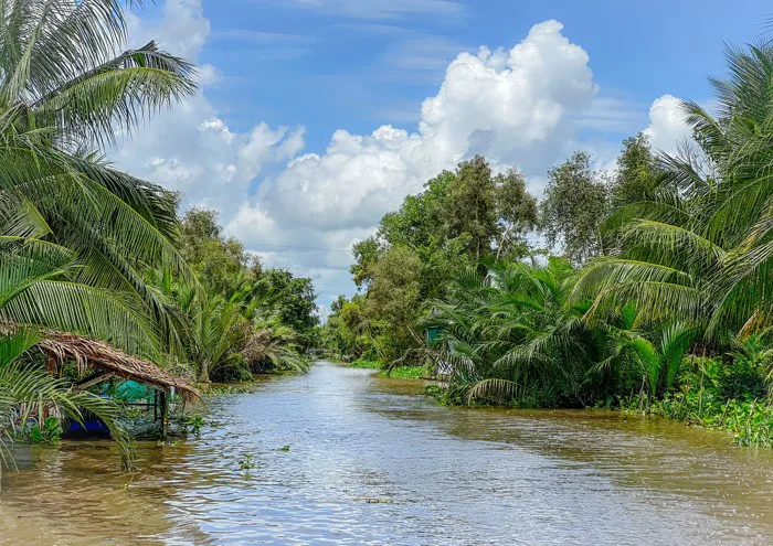 Thân thương dừa nước quê mình