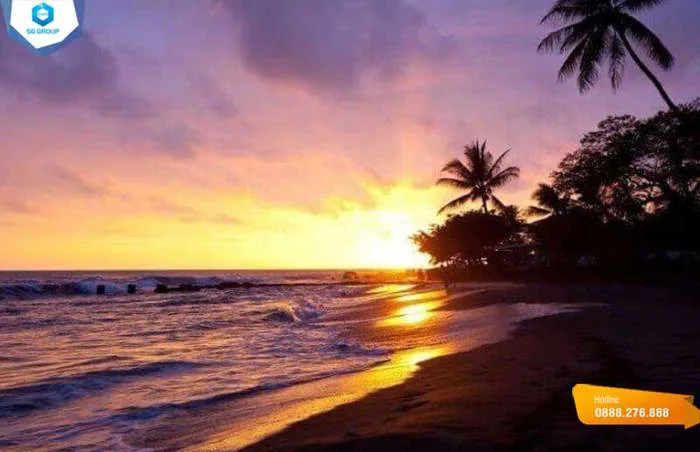 Khám phá Rặng Dừa Hàm Tiến: Viên ngọc xanh giữa lòng Phan Thiết - Du lịch  Mũi Né từ A đến Z