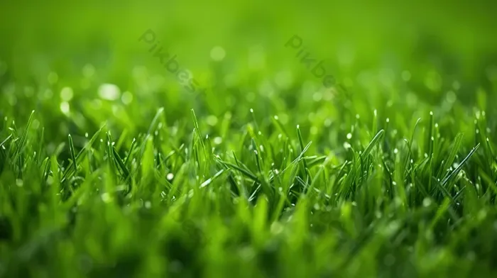 Tải miễn phí Bãi Cỏ Xanh Nền Thiên Nhiên Rực Rỡ Cánh đồng Quyến Rũ Của Kết  Cấu Tươi Nền | JPG chuyên nghiệp - Pikbest