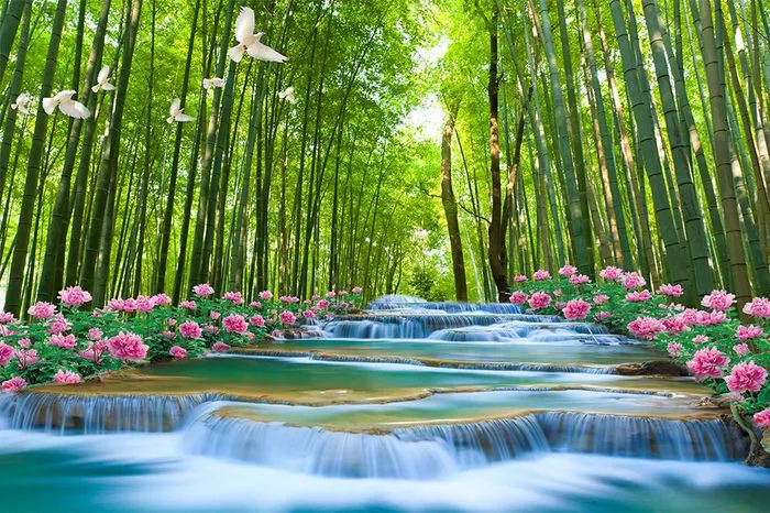 Những hình ảnh rừng cây đẹp nhất