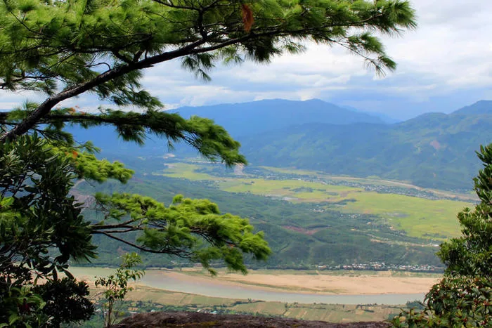 Khám phá vẻ đẹp thiên nhiên: Rừng thông Đà Lạt - SAKOS