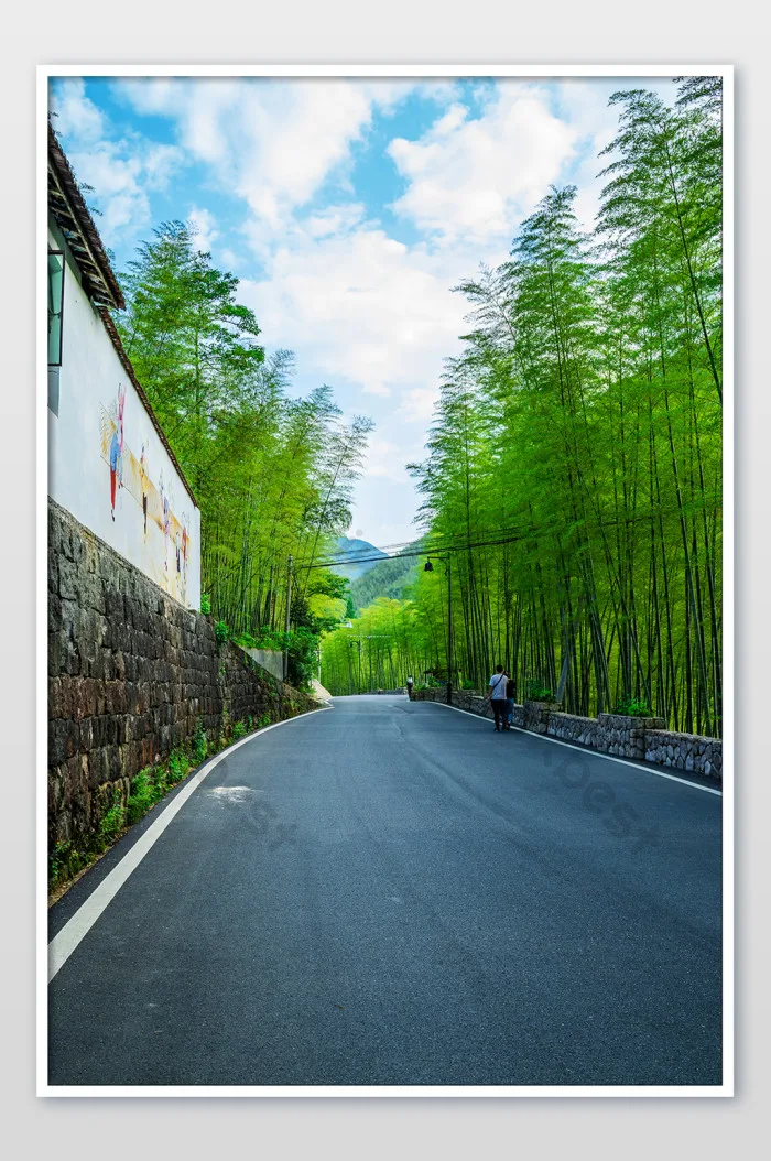 48,000+ Ảnh Rừng Trúc [HD] Tải miễn phí - Pikbest