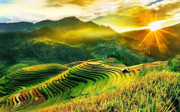 hinh-nen-thien-nhien-ruong-bac-thang-1