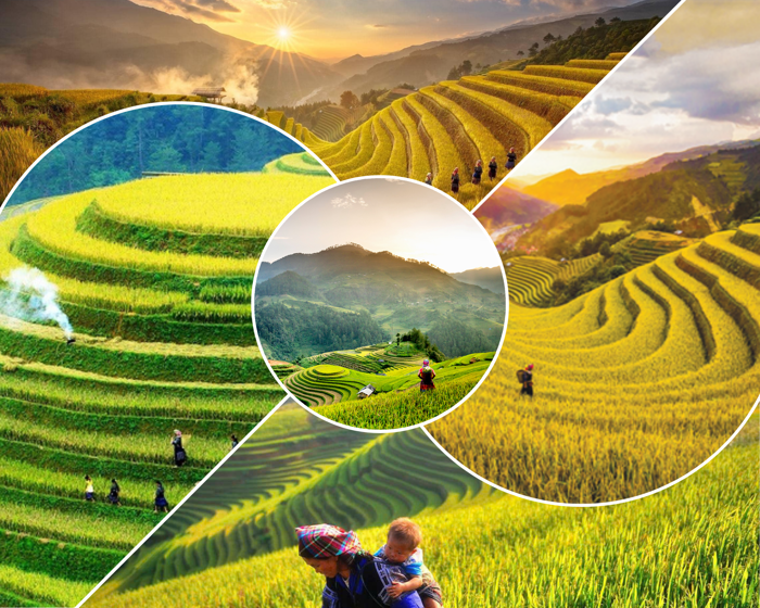 Di tích Quốc gia đặc biệt Ruộng bậc thang Mù Cang Chải - Nét văn hóa đặc  sắc vùng cao