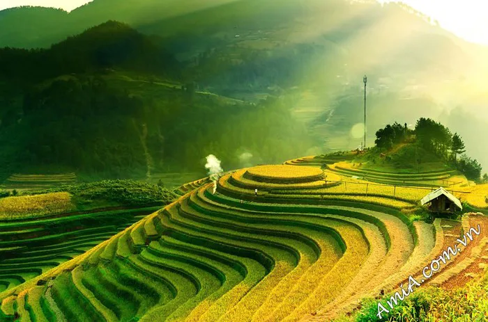 Tranh phong cảnh ruộng bậc thang ở Việt Nam đẹp nhất | Flickr