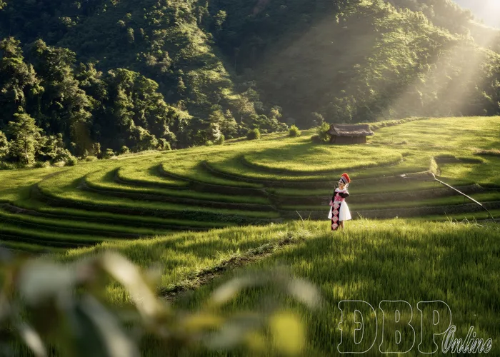 Ruộng bậc thang Pu Nhi – điểm hẹn mới của du lịch Điện Biên