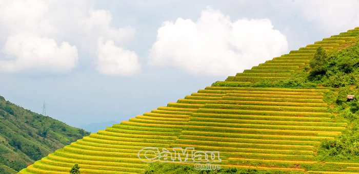 Những ruộng bậc thang đẹp nhất giữa đại ngàn Tây Bắc